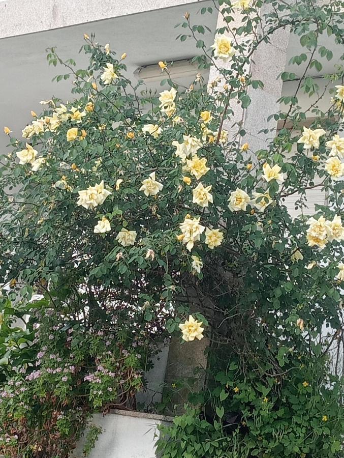 폰테베드라 Atalaya Rias Baixas 빌라 외부 사진
